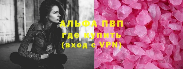 прущие грибы Новоуральск