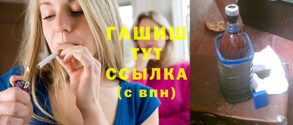 дживик Няндома