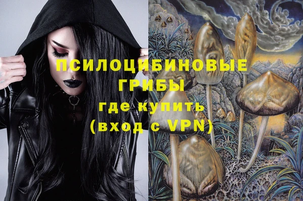 дживик Няндома