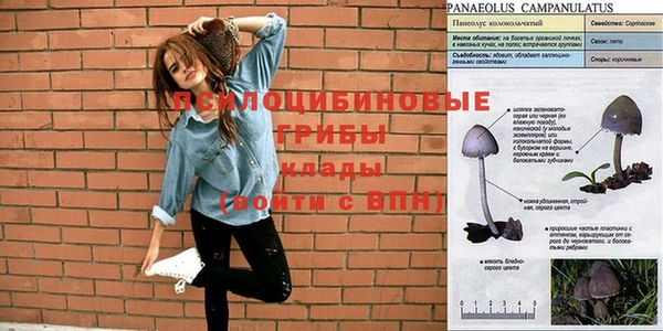 ГАЛЛЮЦИНОГЕННЫЕ ГРИБЫ Нязепетровск