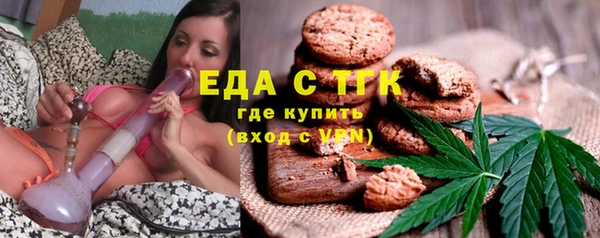 дживик Няндома
