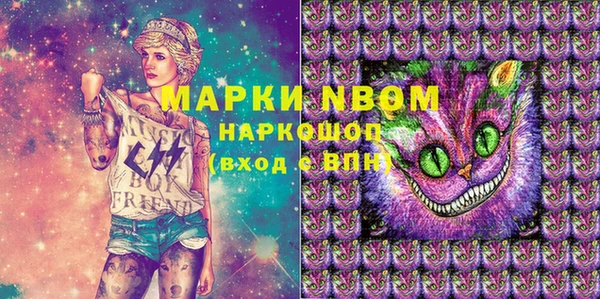 дживик Няндома