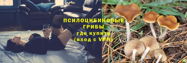 дживик Няндома