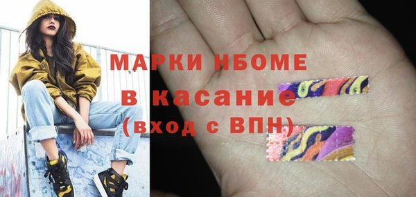 дживик Няндома