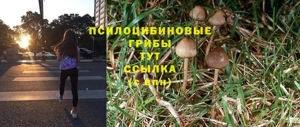 ГАЛЛЮЦИНОГЕННЫЕ ГРИБЫ Нязепетровск