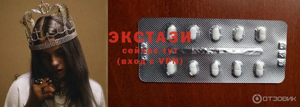 дживик Няндома