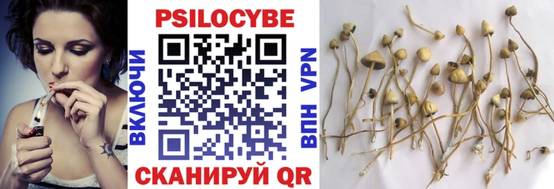 Псилоцибиновые грибы Psilocybe  Оханск 